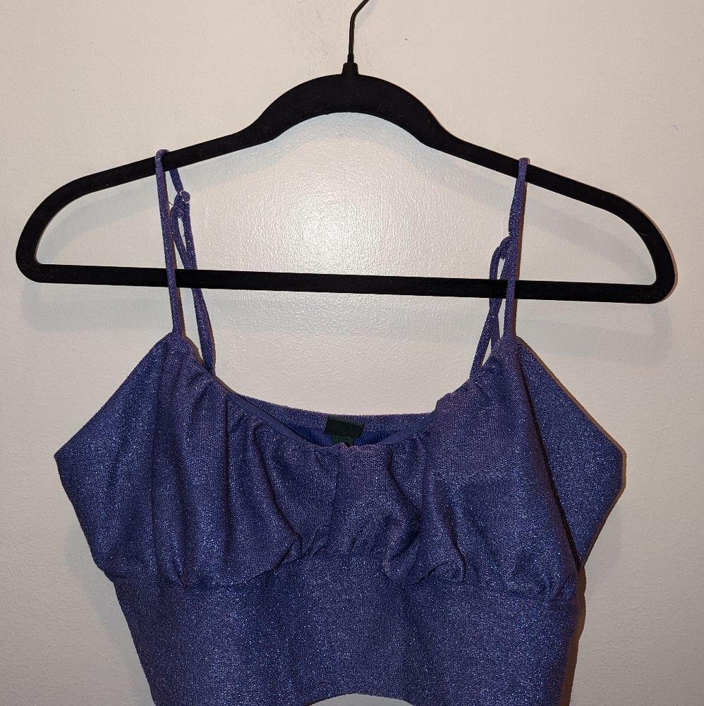 Wild Fable Glitter Crop Top